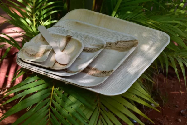 Palm Leaf Dinner Plates